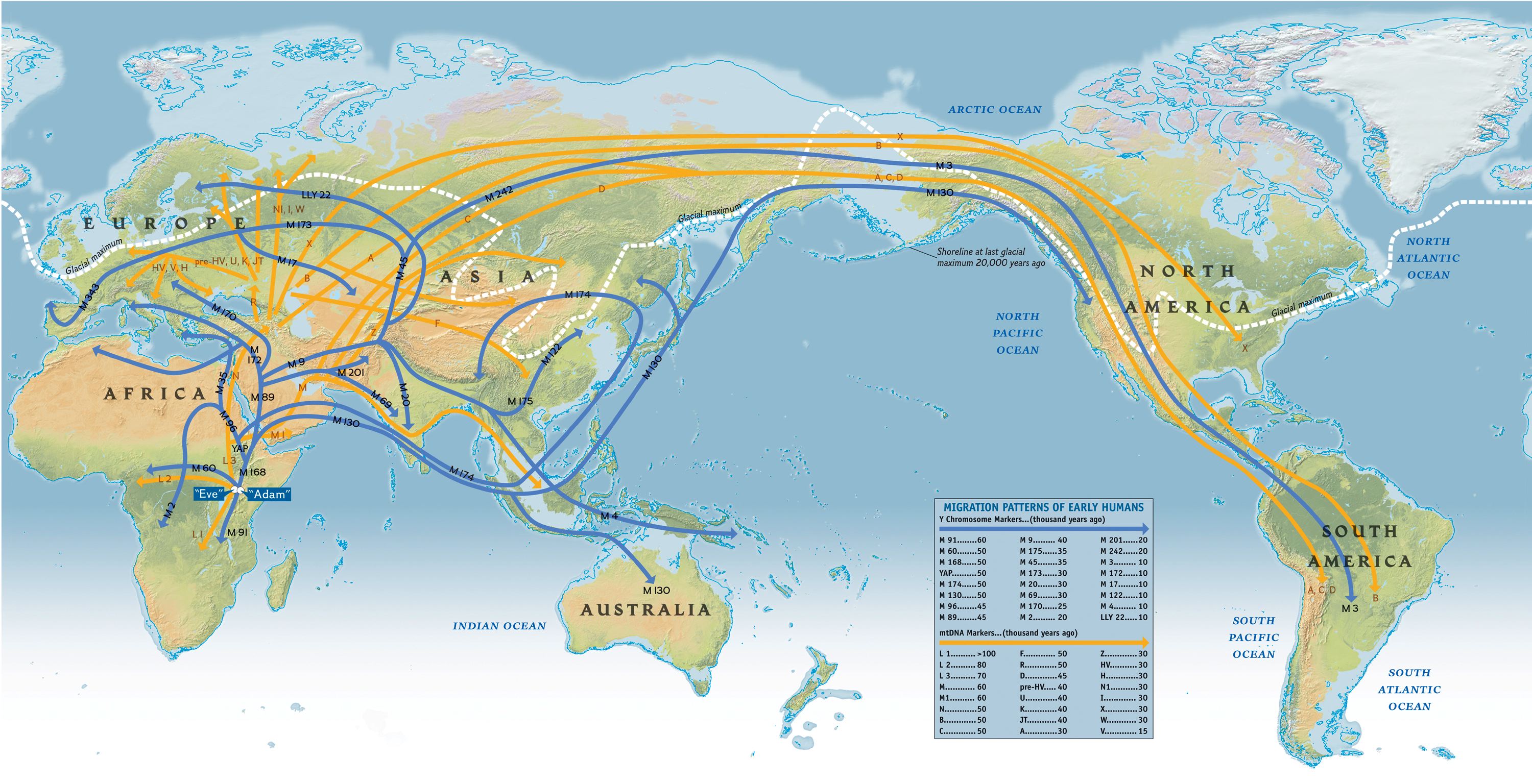Promoting Diversity and Unity: Why Alkaybia’s Message is Important